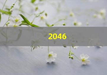 2046