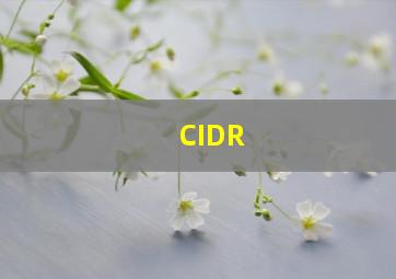 CIDR