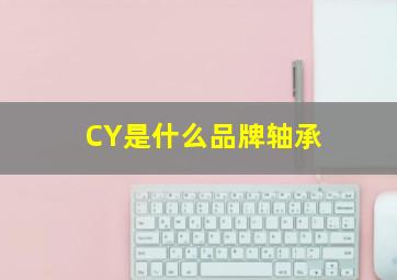 CY是什么品牌轴承