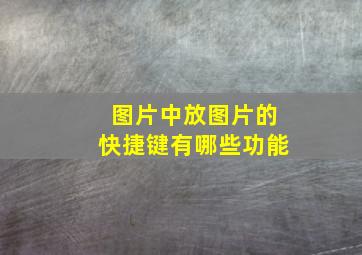 图片中放图片的快捷键有哪些功能