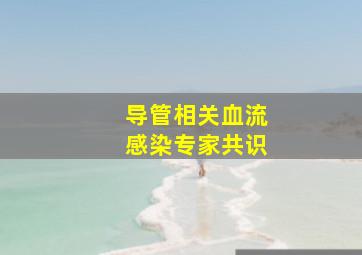 导管相关血流感染专家共识